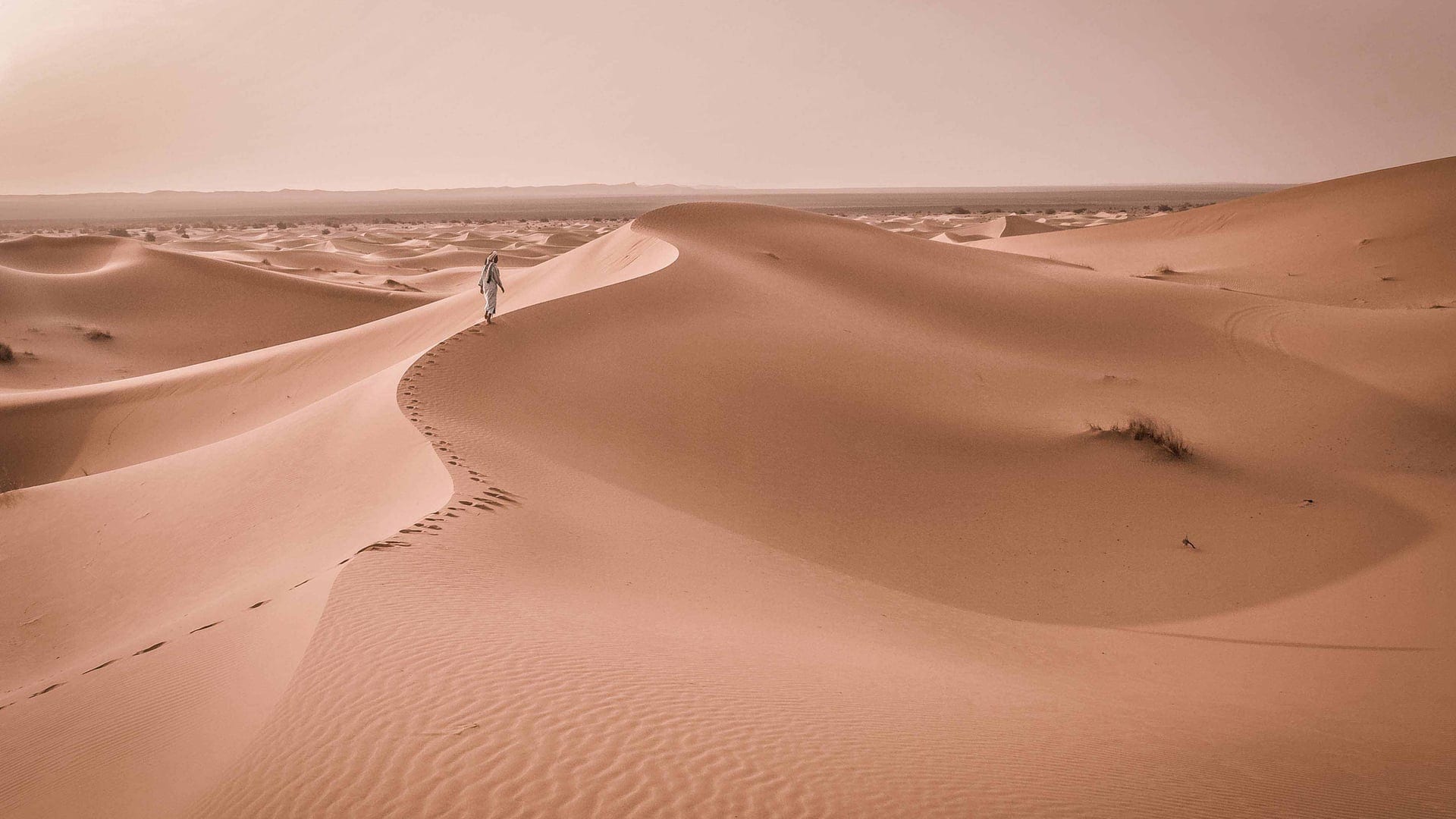 Destinations Articles - Doha Travel Guide