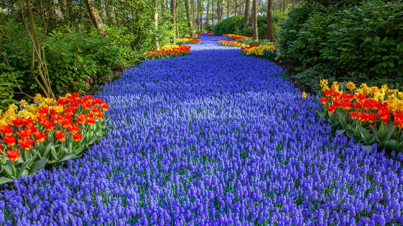 Lifestyle Toplists - The Best Botanical Gardens in the World