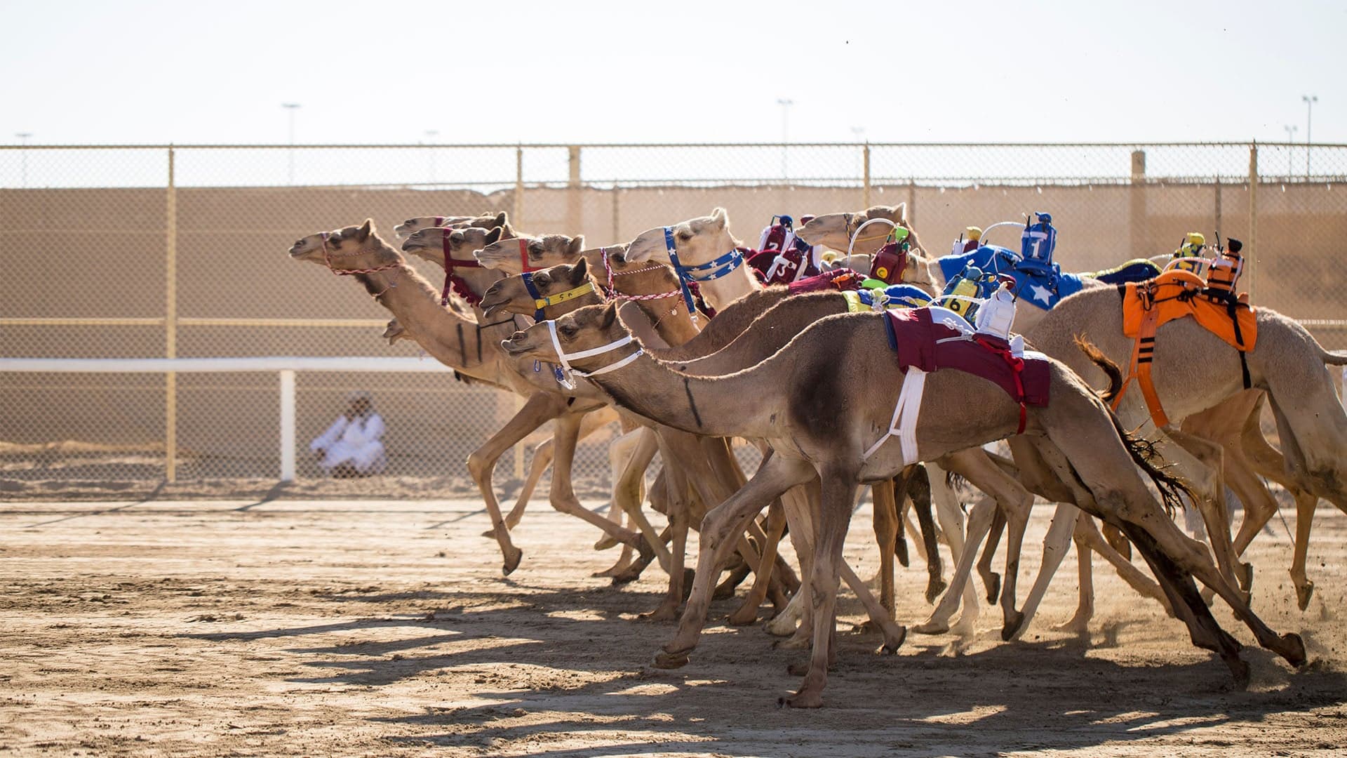 Destinations Articles - Doha Travel Guide