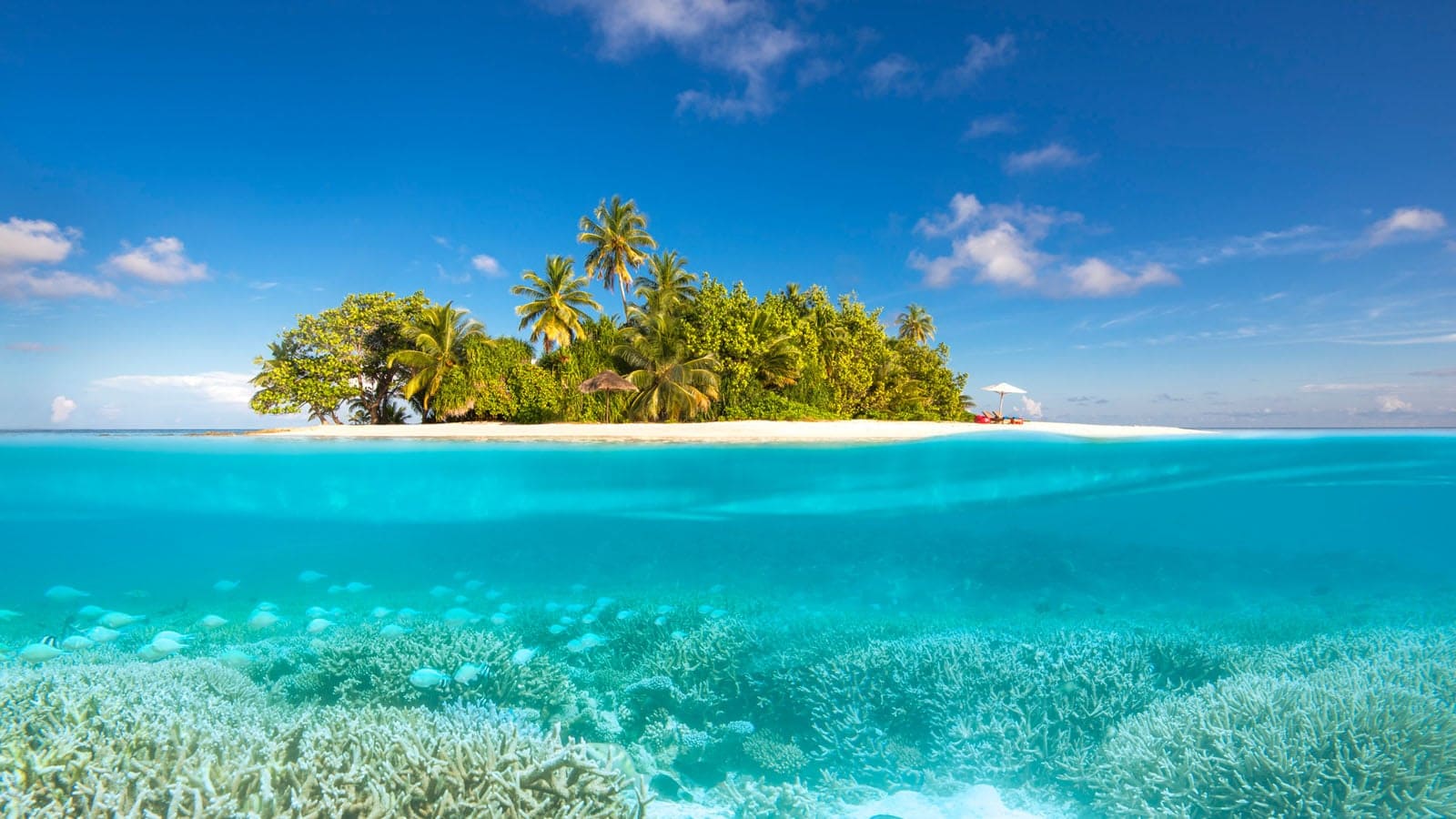 Rent your own private island in the Maldives