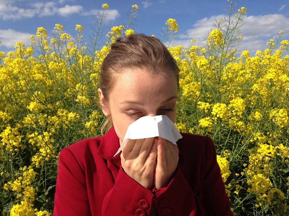 Lisbon's Only Allergy-Friendly Hotel