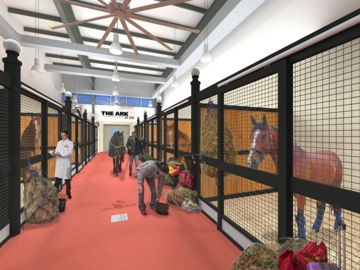 The World's First Private Animal Airport Terminal - 2