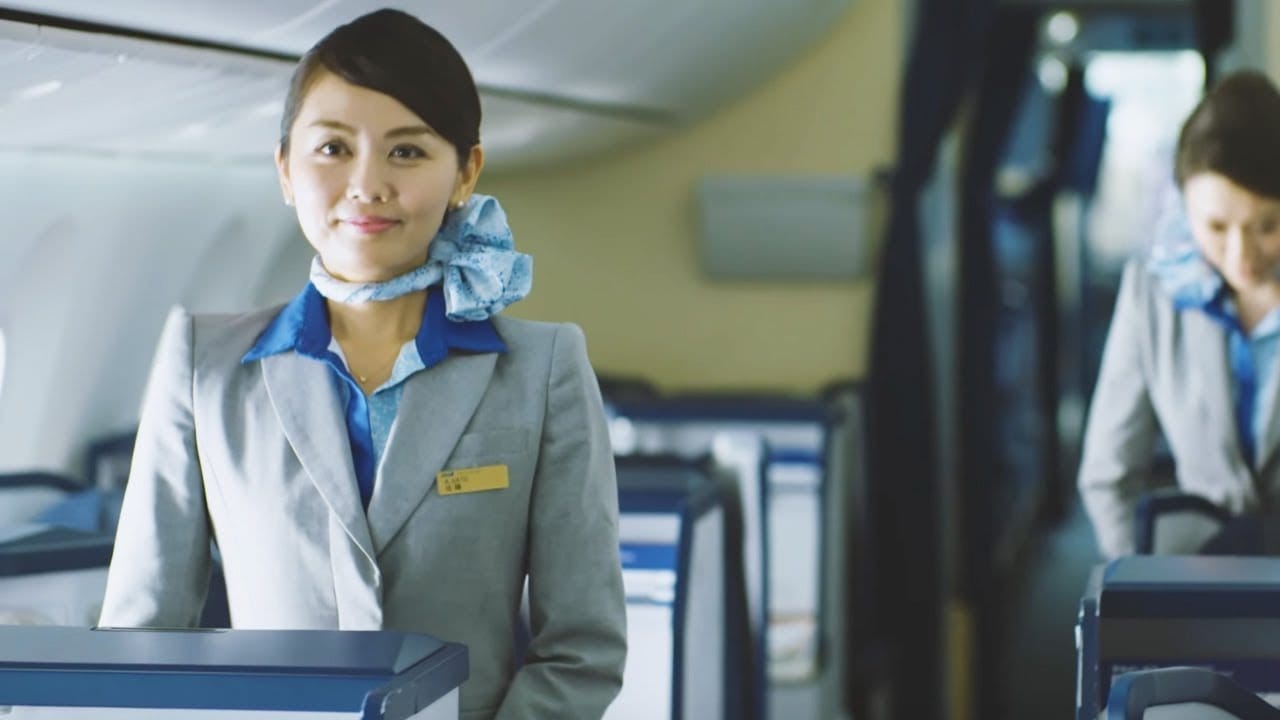 Airline review Service - ANA - 0