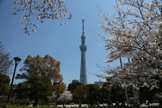 Destination Tokyo – guide för medvetna - 12
