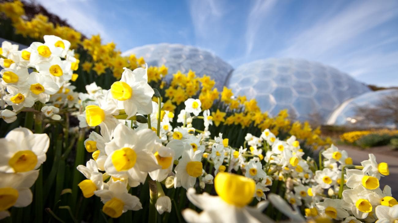 Lifestyle Toplists - The Best Botanical Gardens in the World