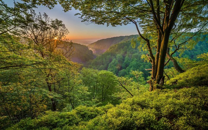 Five underestimated destinations in Southern Sweden - 3