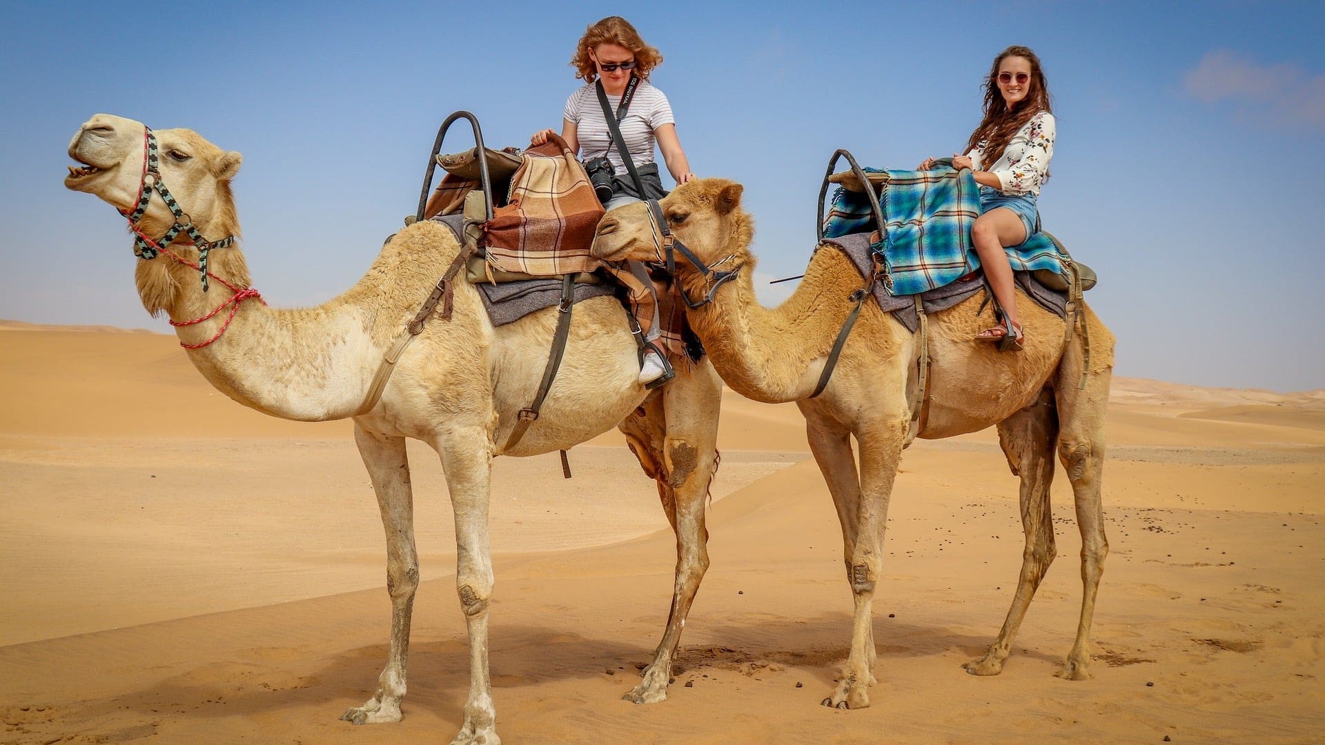 Destinations Articles - Doha Travel Guide