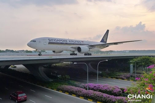 Singapore Airlines och Changi flygplats förlänger sitt populära transitprogram