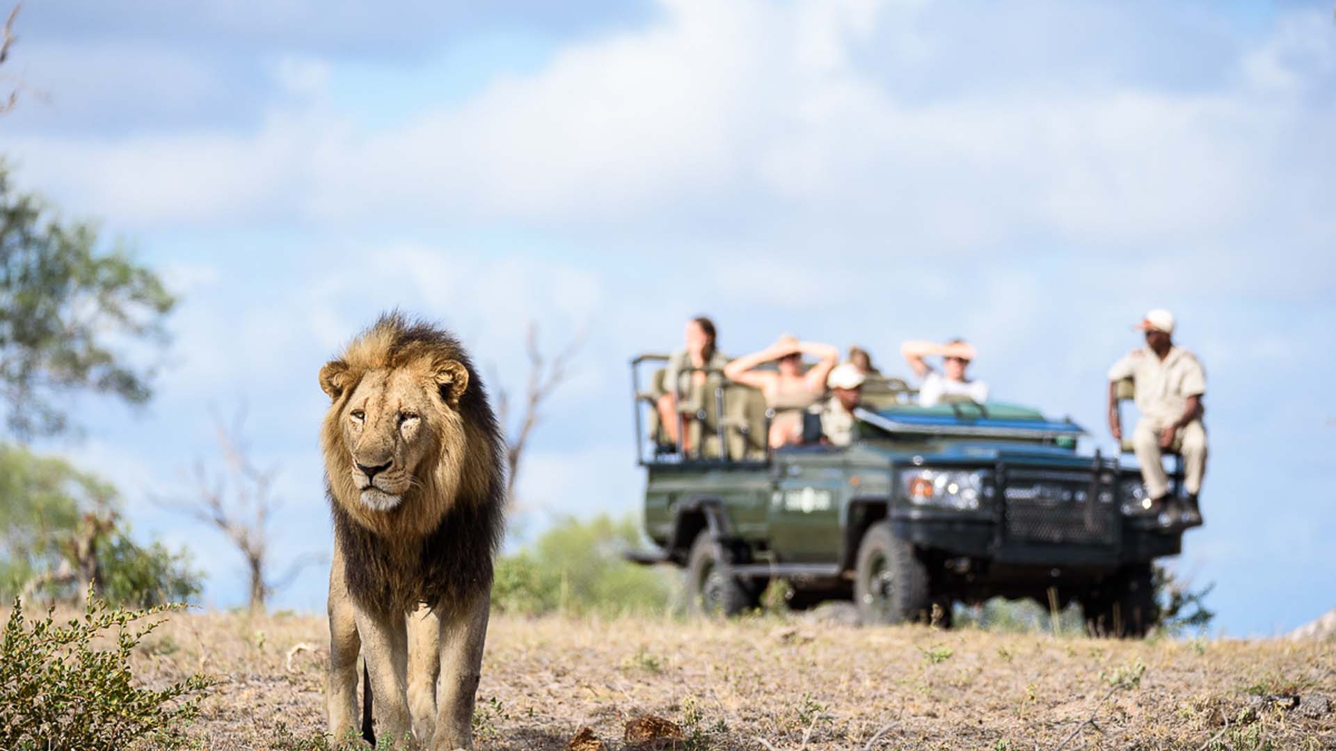 Review of Sabi Sabi Private Game Reserve