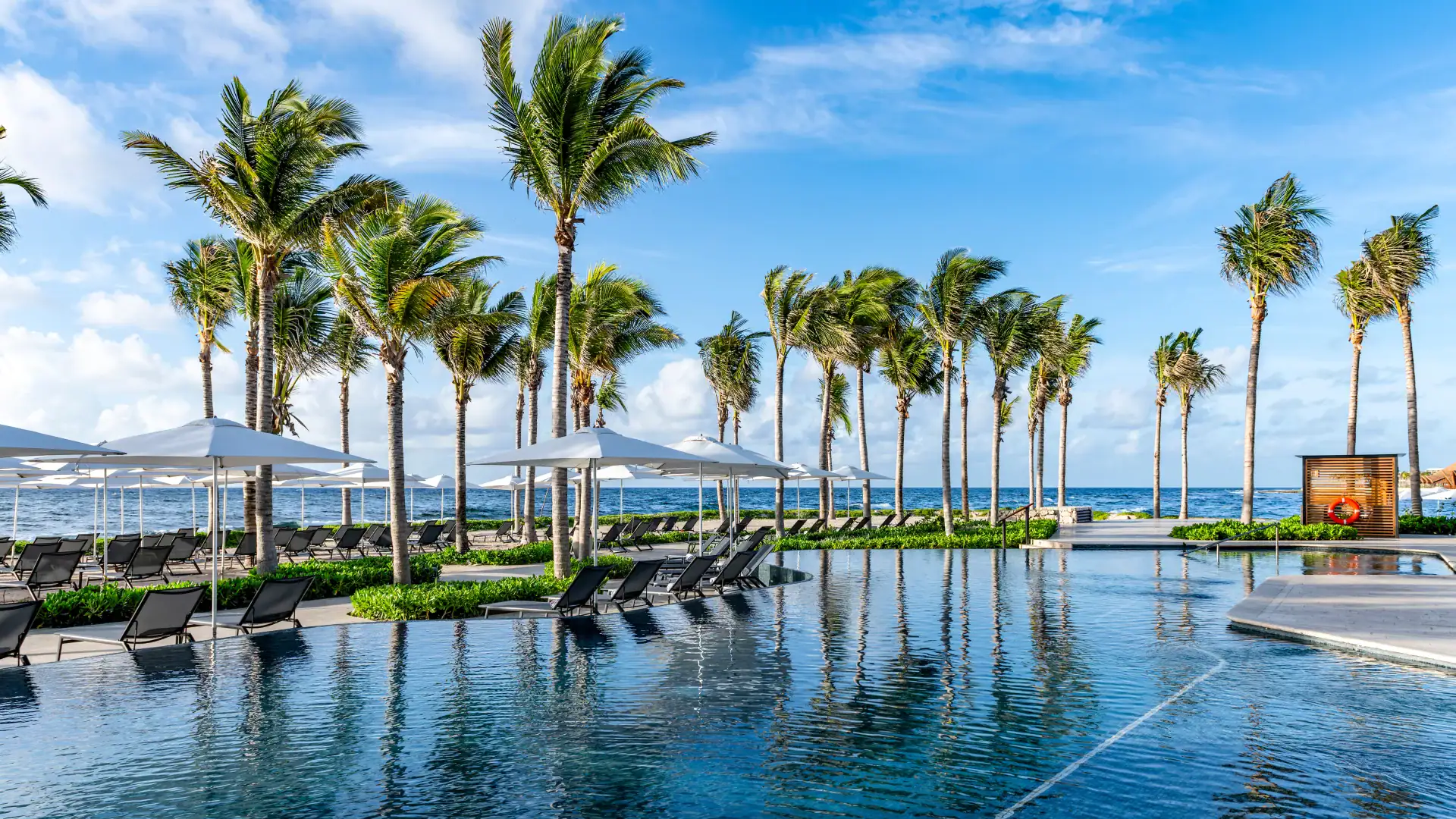 Hilton Tulum Riviera Maya's swimming pool overlooking the ocean
