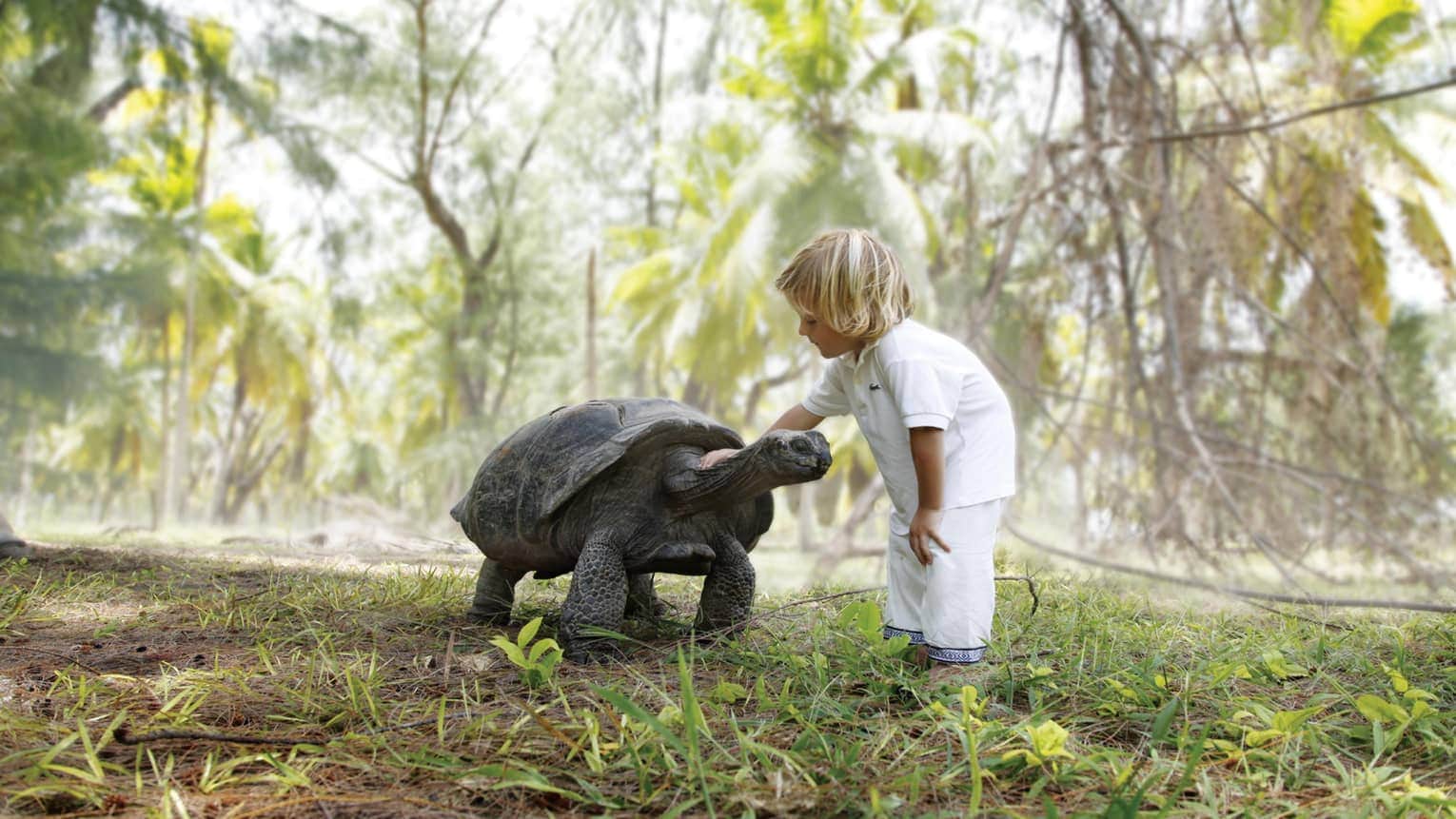 Hotels Toplists - The Best Luxury Hotels In The Seychelles