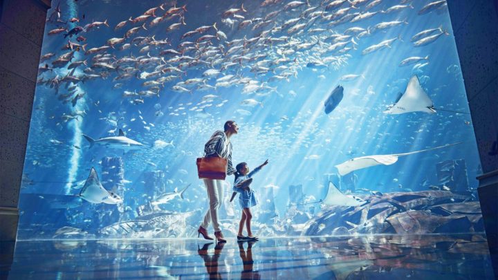 Explore The Lost City Of Atlantis In At Stunning New Resort - 2