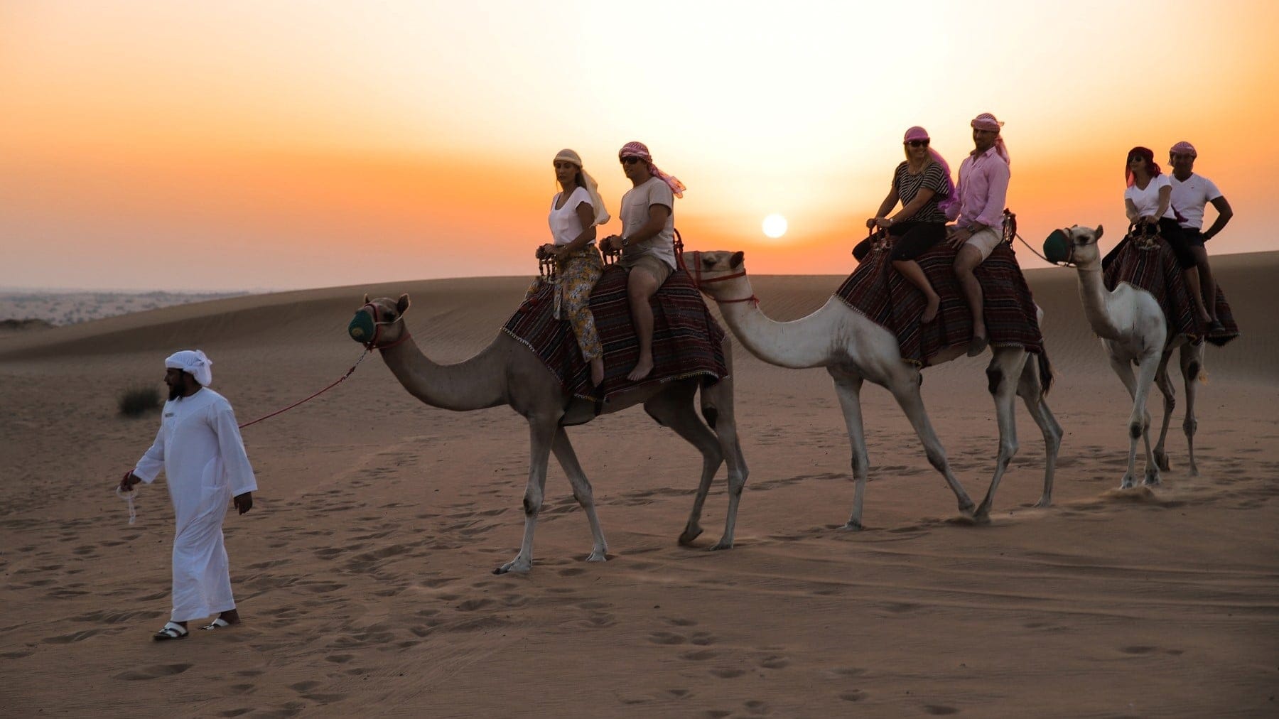 Destinations Toplists - 9 Best Desert Safaris in Dubai
