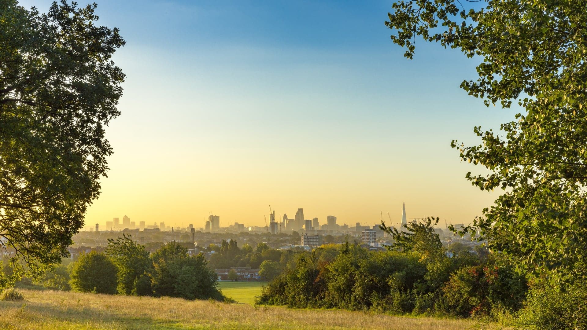 London skyline from Hampstead Heath