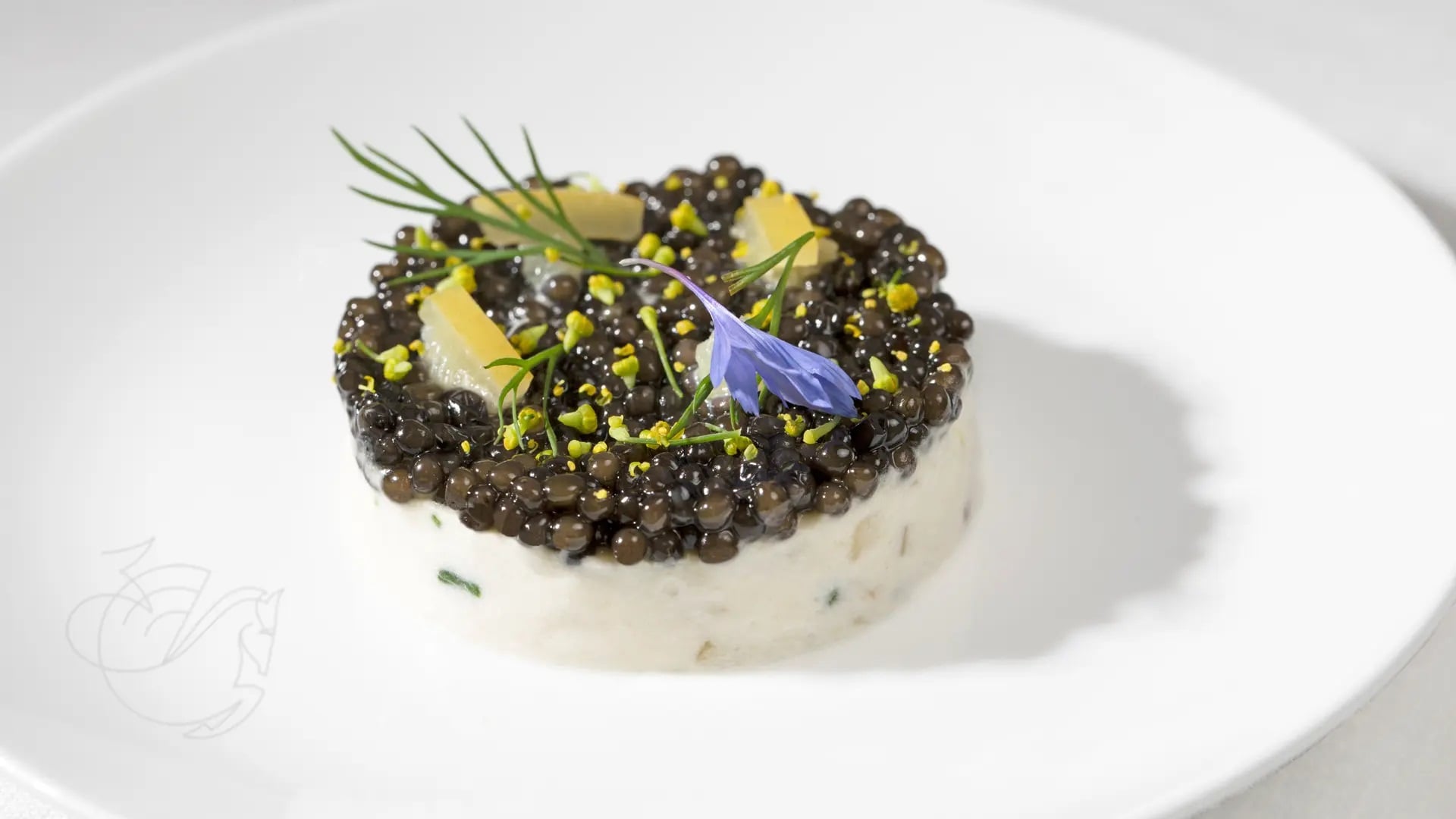 Airline review Cuisine - Air France - 1