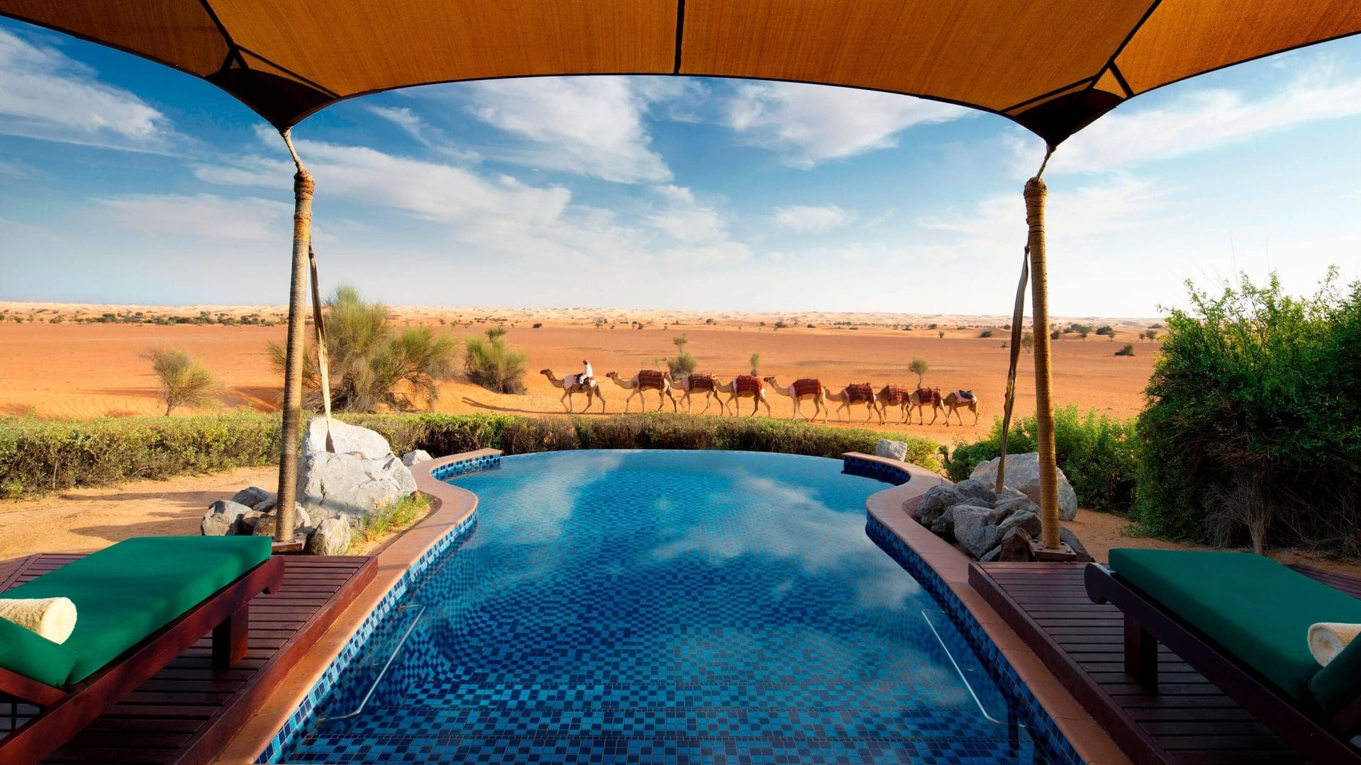 Review of Al Maha a Luxury Collection Desert Resort & Spa Dubai