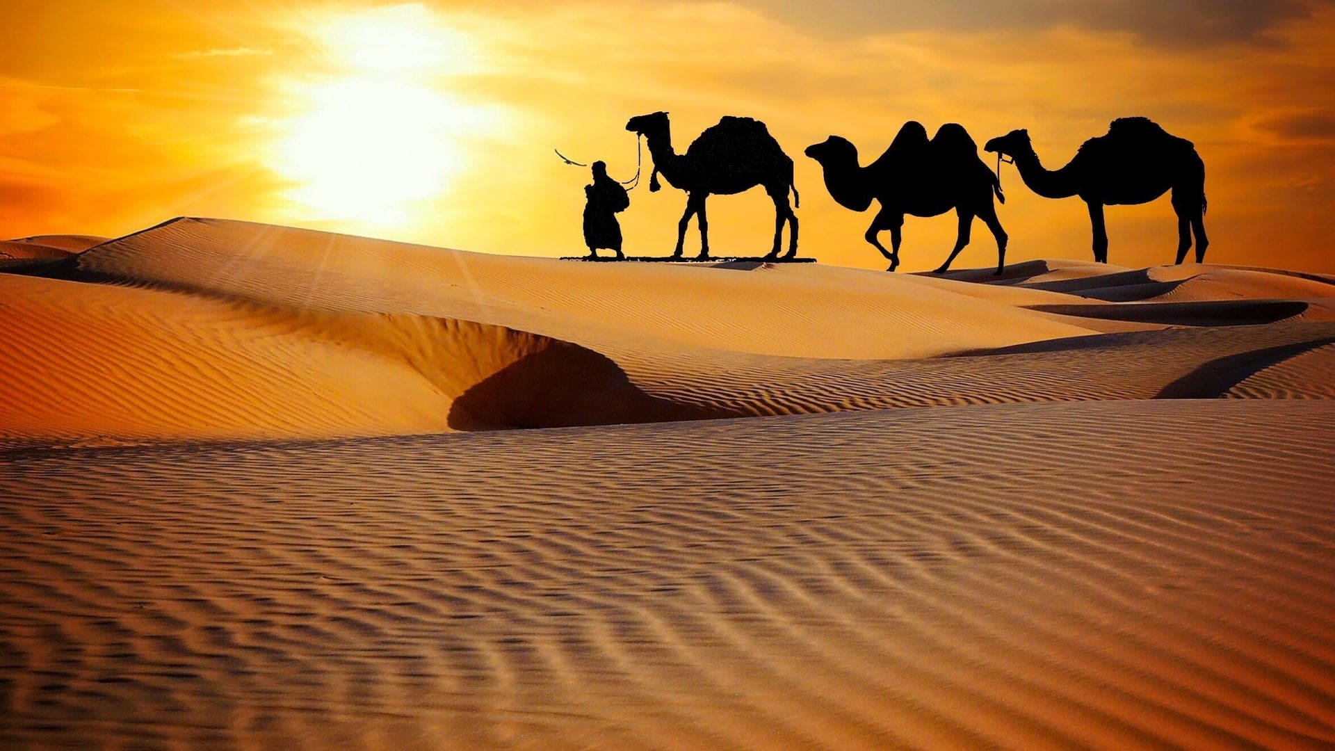 Destinations Toplists - 30 Best Things to See & Do in Dubai