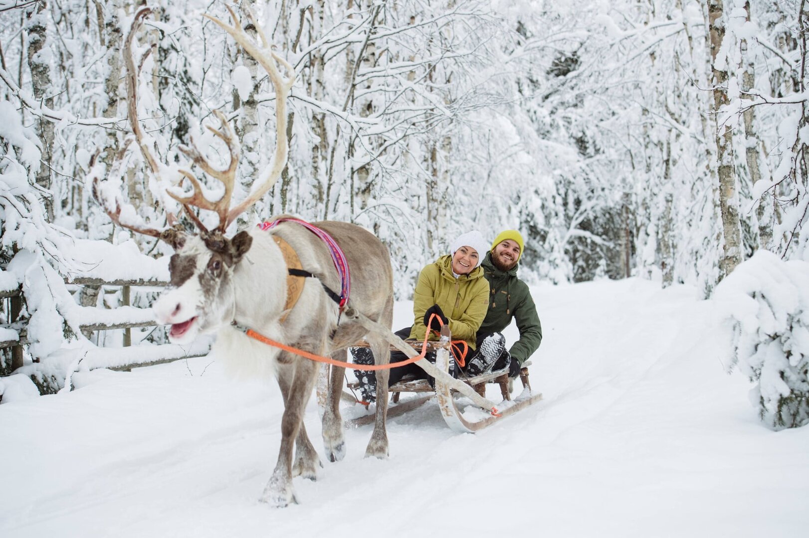 Lufthansa jingles all the way to Lapland