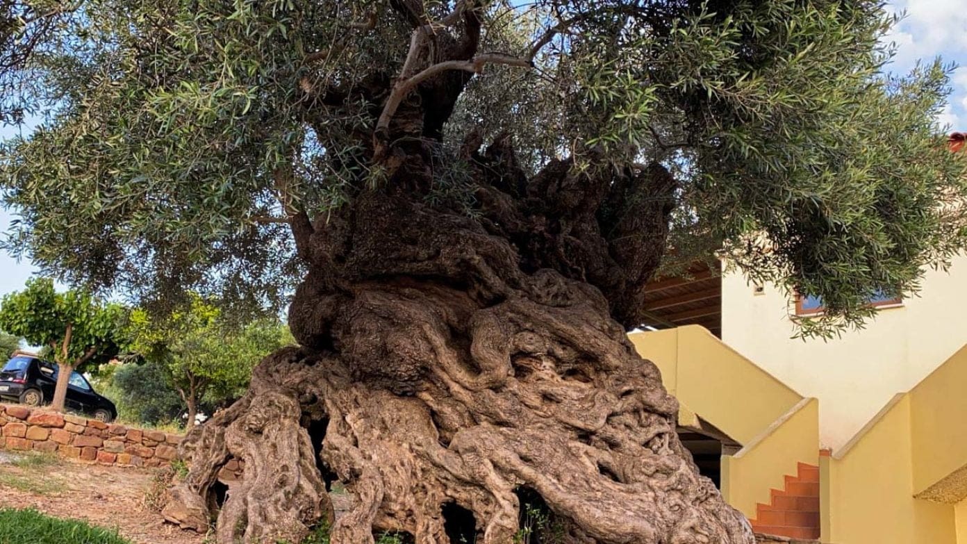 Destinations Articles - Crete Travel Guide