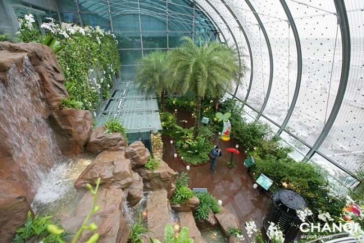 What makes Sinagpore’s Changi Airport the best in the world? - 5