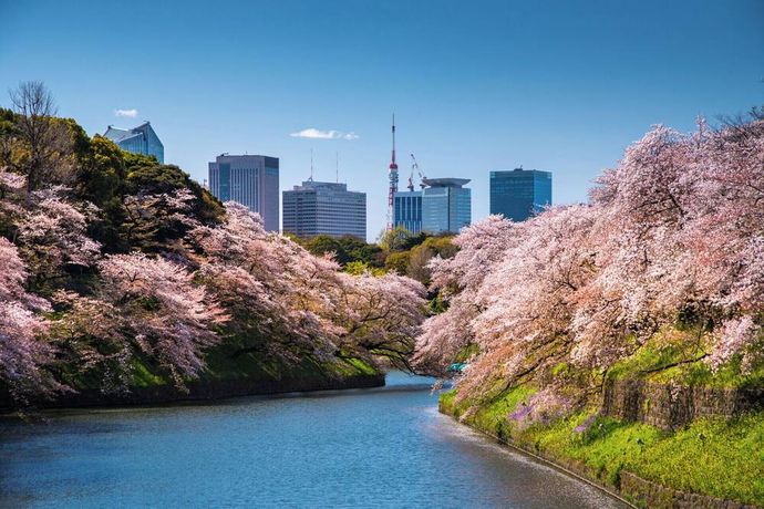 Verified hotel review - Four Seasons Hotel Tokyo at Marunouchi - 3