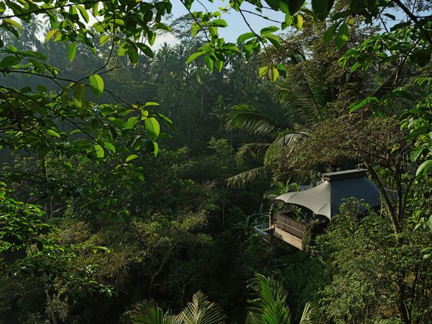 Verified hotel review - Capella Ubud Bali - 58