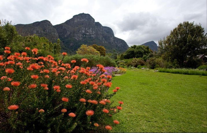 Verified hotel review - Twelve Apostles Hotel & Spa - 51