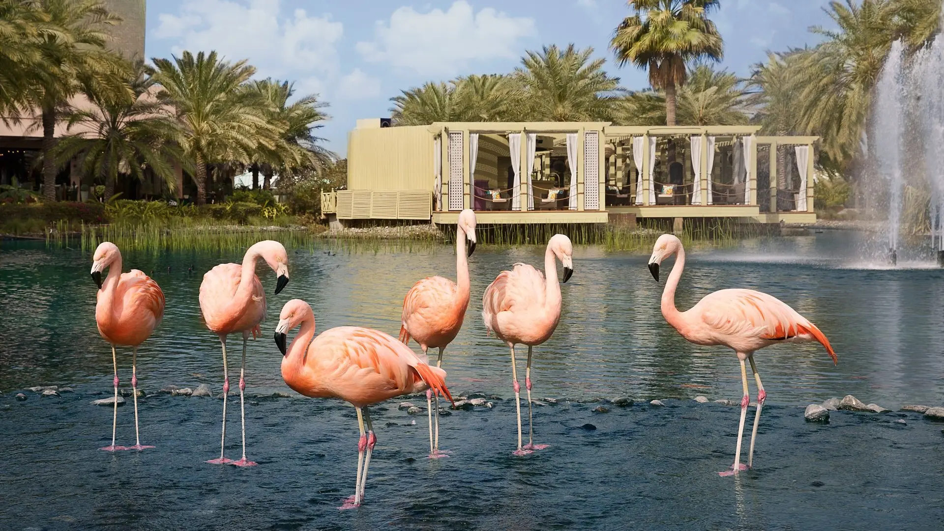 Review of The Ritz-Carlton, Bahrain - 10