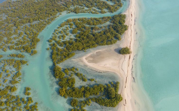 Verified hotel review - Anantara Sir Bani Yas Island Al Yamm Villa Resort - 19