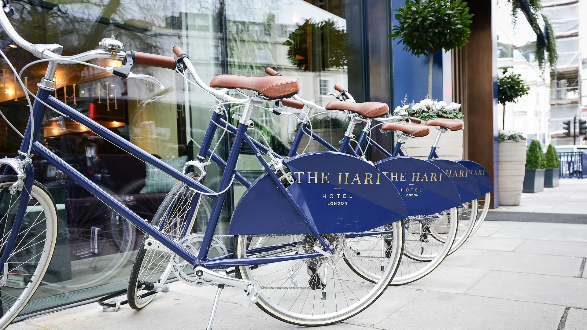 Review of The Hari - London - 12
