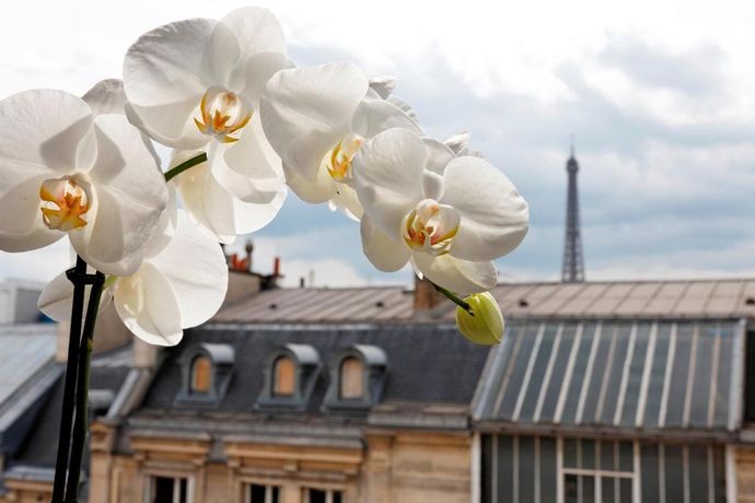 Verified hotel review - La Tremoille Paris - 25