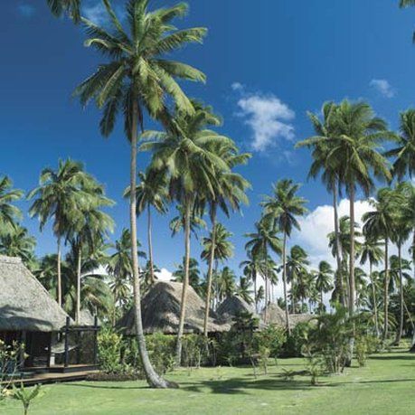 Jean-Michel Cousteau Resort Fiji - 29