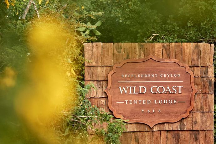 Wild Coast Tented Lodge - 4
