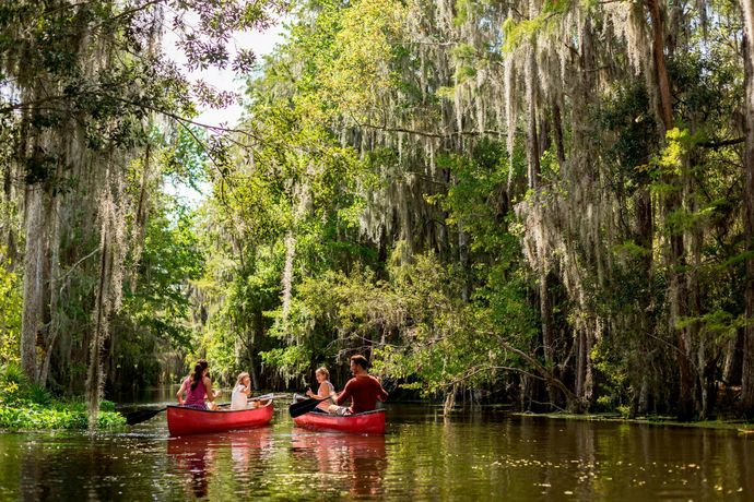 Verified hotel review - The Ritz-Carlton Orlando, Grande Lakes - 29