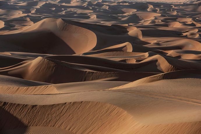 Verified hotel review - Anantara Qasr Al Sarab Desert Resort - 28