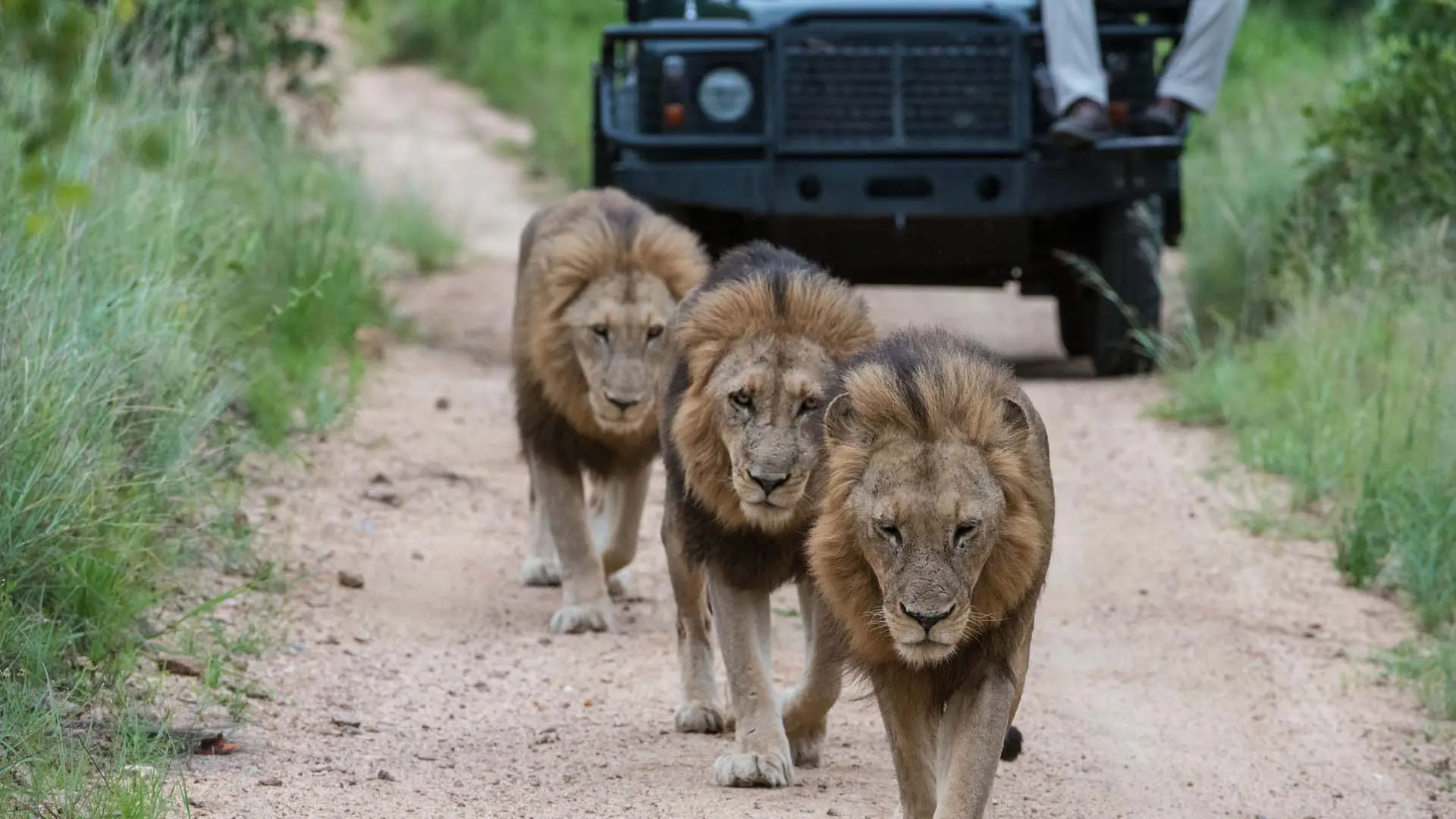 Hotel review Service & Facilities' - Sabi Sabi Private Game Reserve - 1