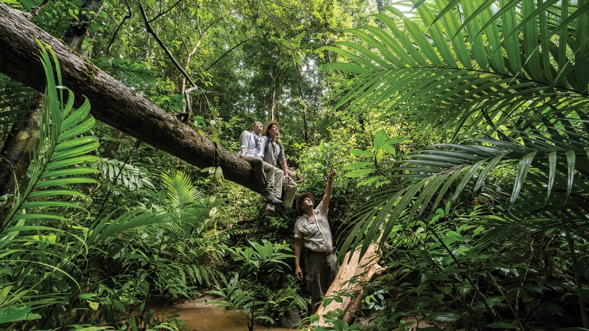 Hotel review Sustainability' - Four Seasons Resort Langkawi - 0