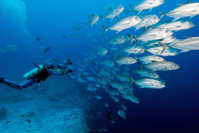 Jean-Michel Cousteau Resort Fiji - 34