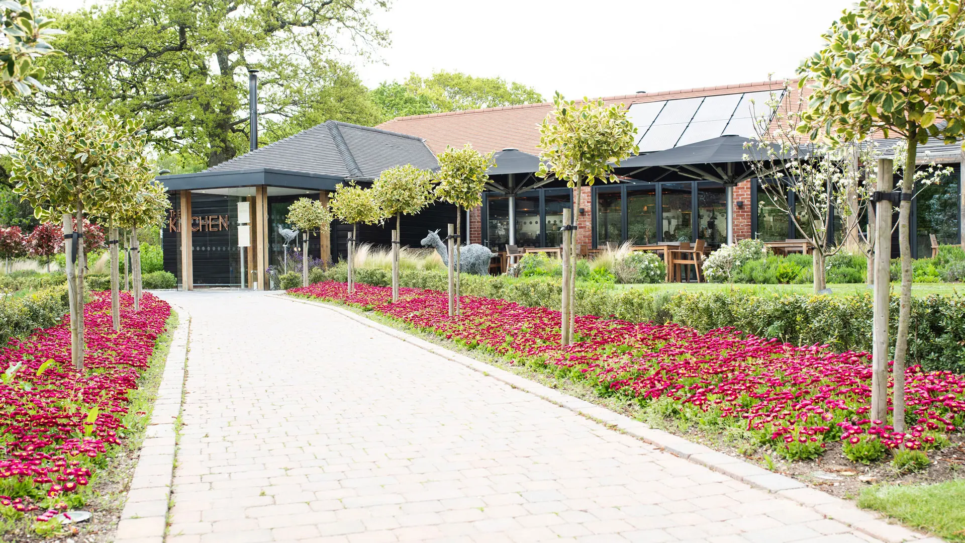 Review of Chewton Glen Hotel - 5