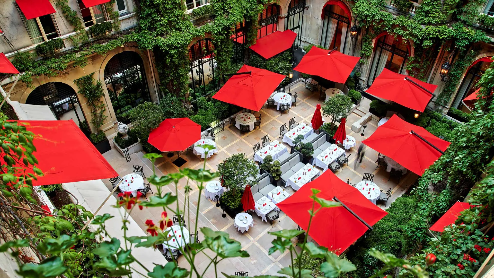 Review of Hôtel Plaza Athénée Paris - 2