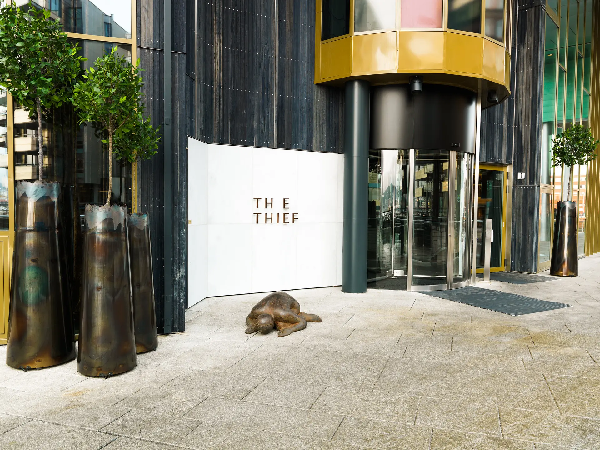 Review of The Thief - 4