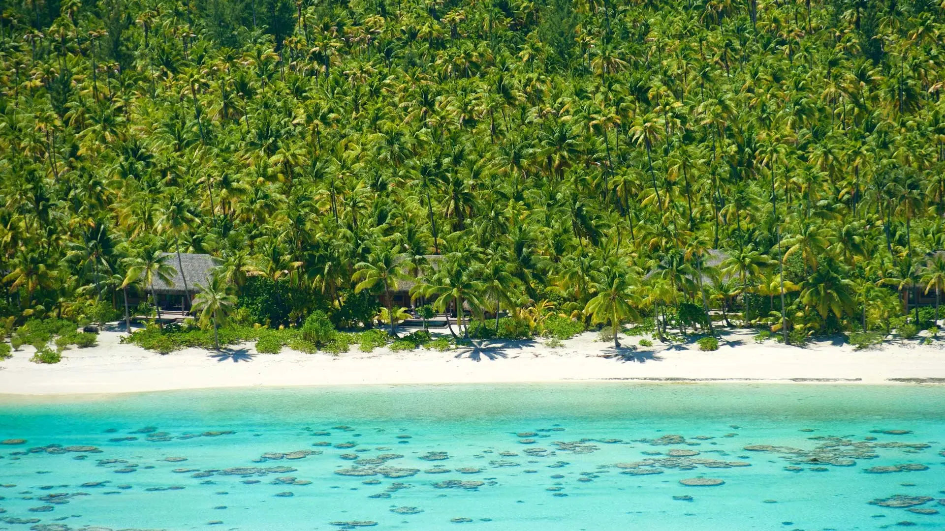 Hotel review Service & Facilities' - The Brando - 0