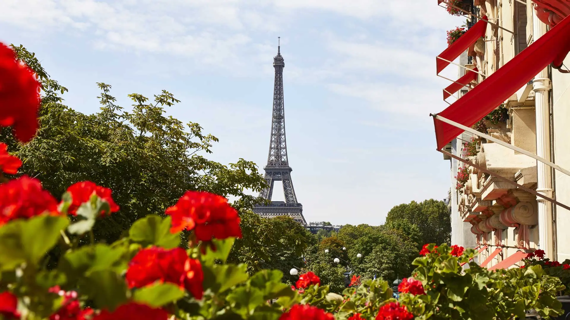 Review of Hôtel Plaza Athénée Paris - 7