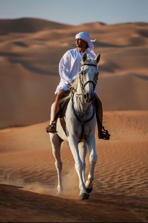 Verified hotel review - Anantara Qasr Al Sarab Desert Resort - 27