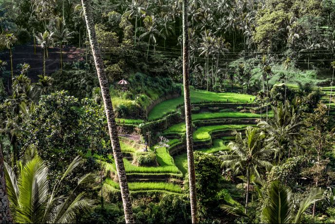 Verified hotel review - Amandari Bali - 32