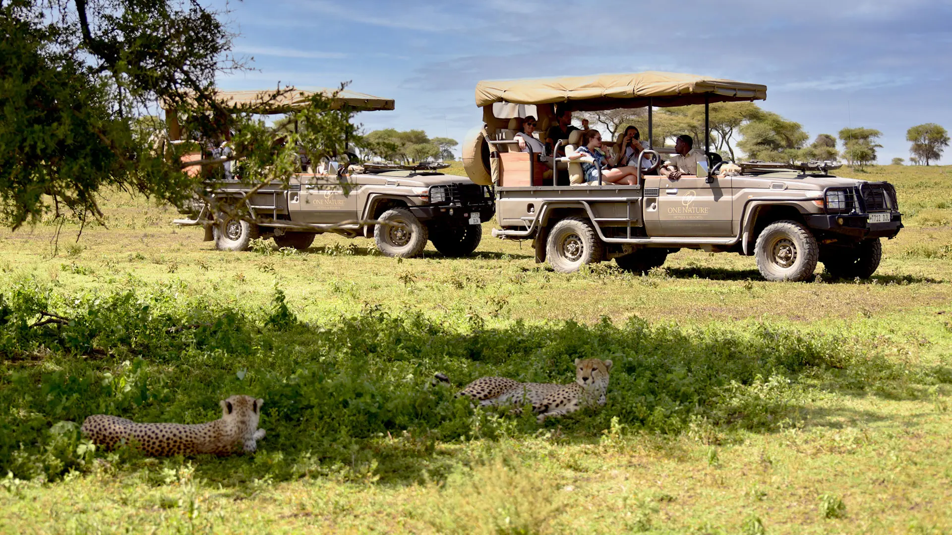 Review of One Nature Nyaruswiga Serengeti - 11