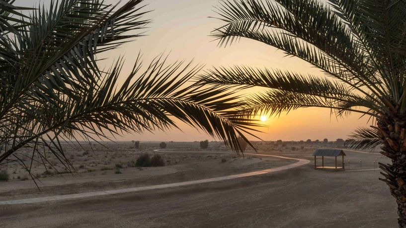 Bab Al Shams Desert Resort and Spa - 6