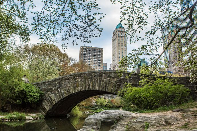 Verified hotel review - The Pierre, A Taj Hotel, New York - 19