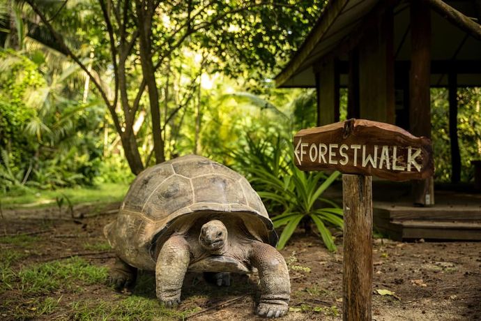 Verified hotel review - Denis Private Island Seychelles - 20