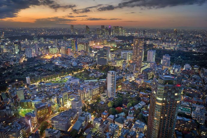 Verified hotel review - The Ritz-Carlton, Tokyo - 15